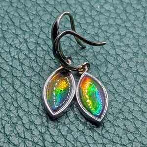 Canadian Ammolite Earrings